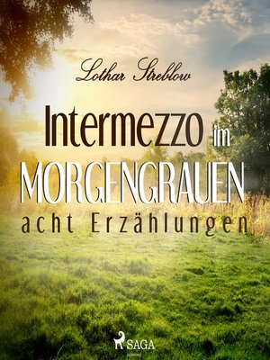 cover image of Intermezzo im Morgengrauen--Acht Erzählungen (Ungekürzt)